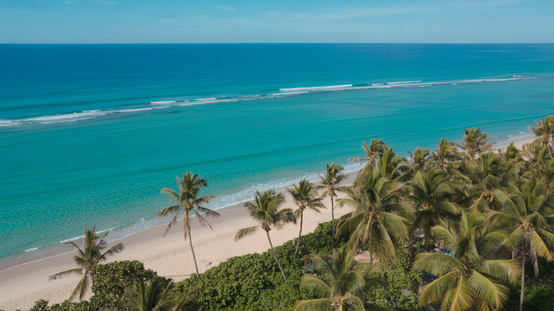 Cinematic aerial drone footage of LA LUZ BEACH RESORT — turquoise tropical ocean, white sand, and palm-lined beachfront